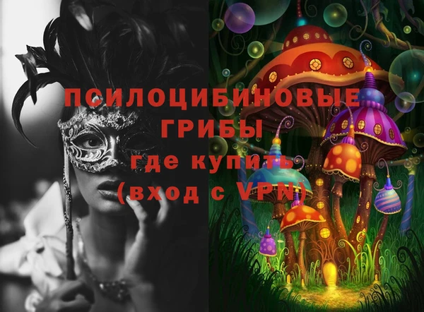 шишки Абинск