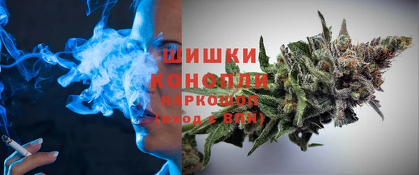 шишки Абинск