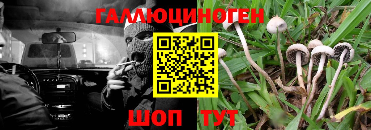 Рассказово  Псилоцибиновые грибы Magic Shrooms  Вход с VPN 