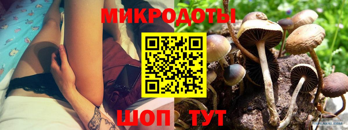 Псилоцибиновые грибы Psilocybe Рассказово